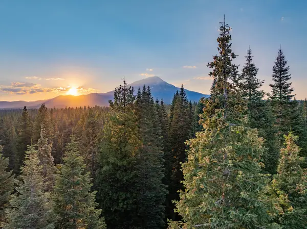 Pilgrim Creek Road, McCloud, CA 96057