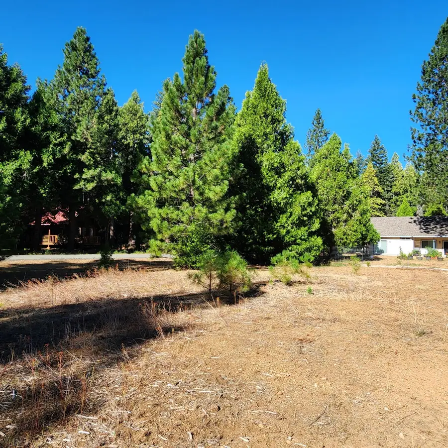 Lot 18 Nehemiah Drive, Shingletown, CA 96088 - #2