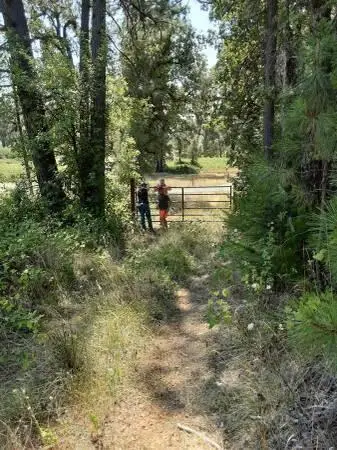 000 Fenders Ferry Road, Montgomery Creek, CA 96065 - Image #2