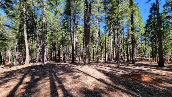 Lot 8 Whispering Winds Court, Shingletown, CA 96088