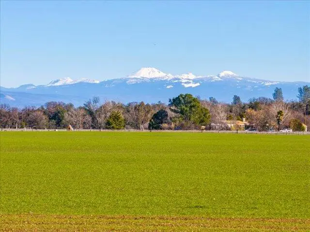 00 Old Gold, Cottonwood, CA 96022 - Image #3