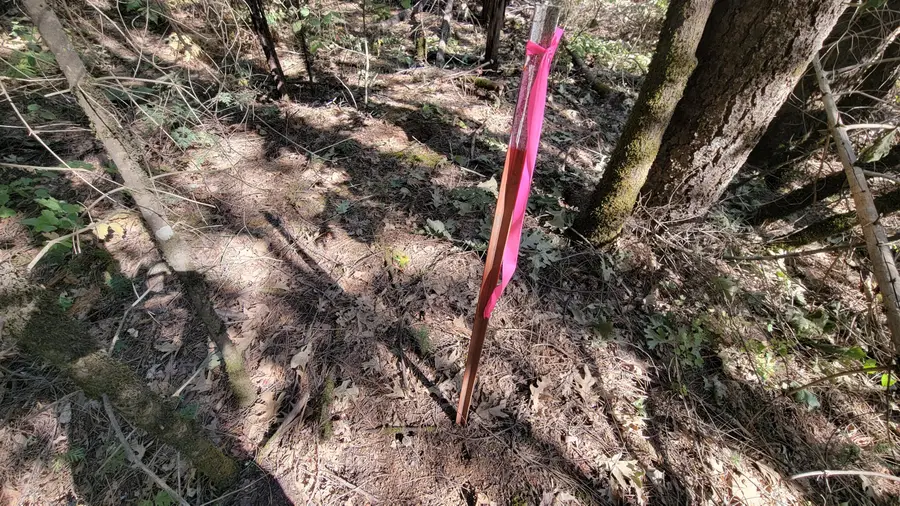 Lot 10&11 Frontier Road, Oak Run, CA 96069 - Image #2