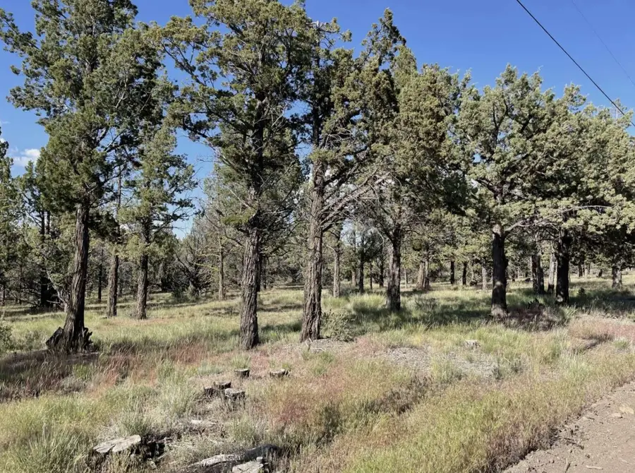 0 Hilltop Lane, Alturas, CA 96101 - Image #3