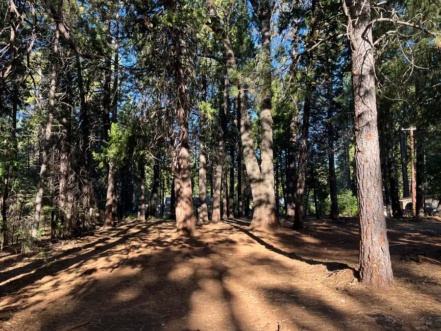 Alward Way, Shingletown, CA 96088 - Image #3