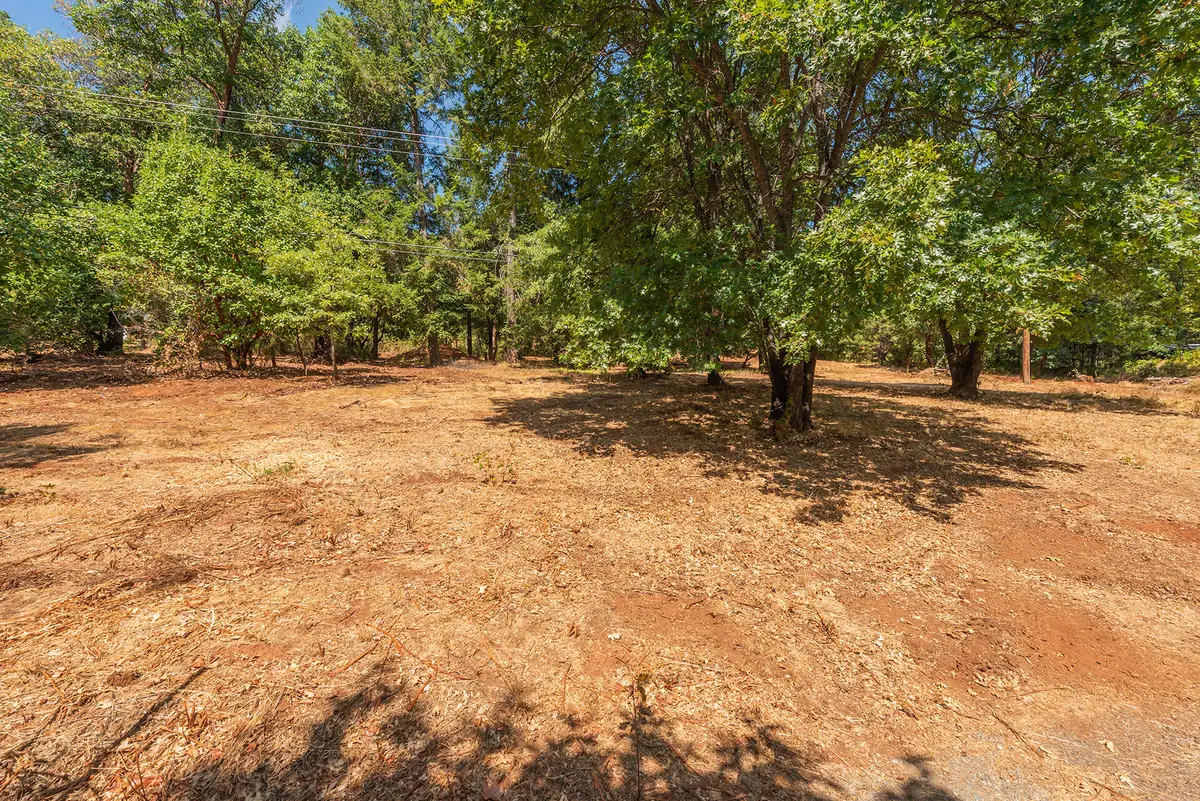 171 Connor Creek Road, Junction City, CA 96048 - #1