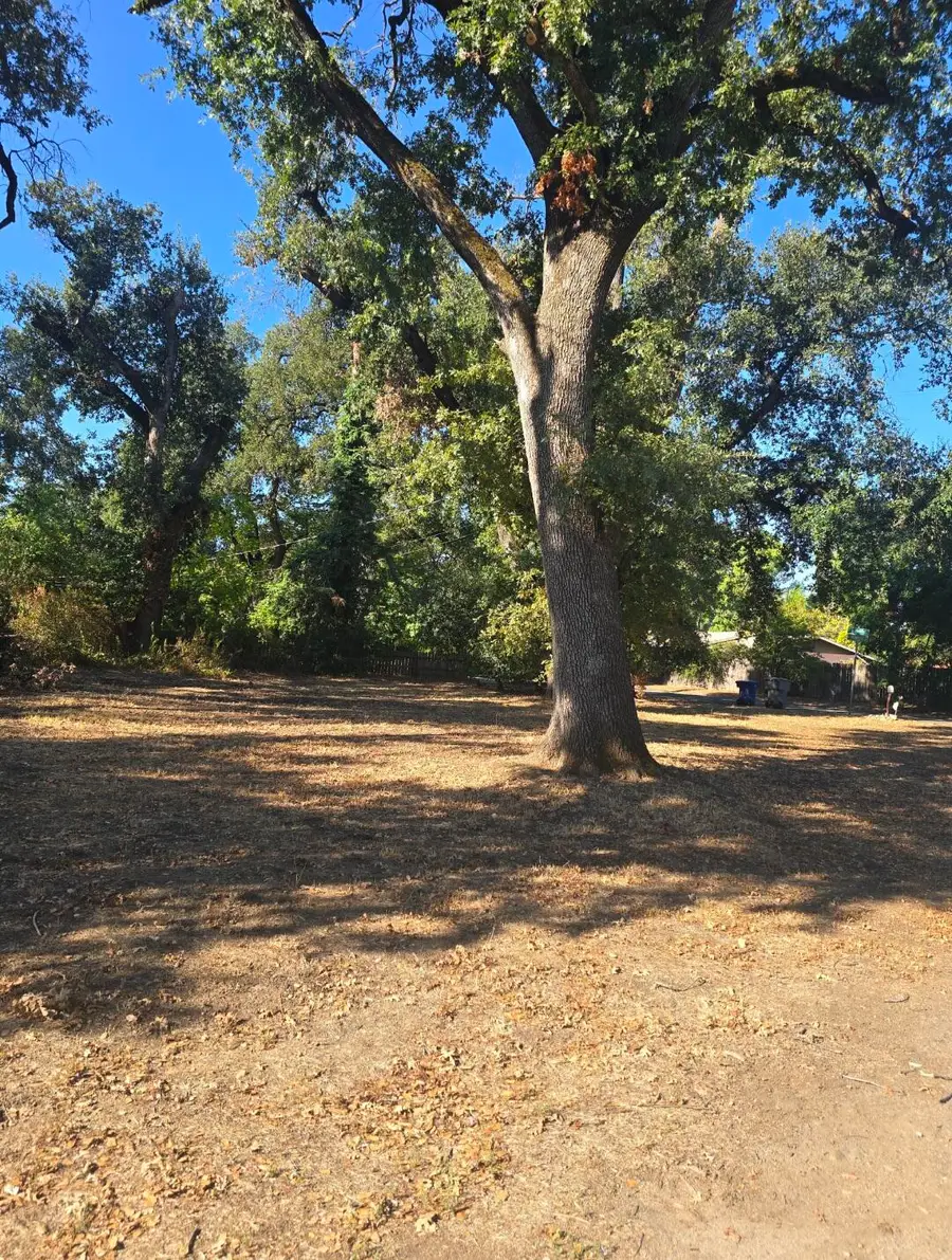 Waverly, Redding, CA 96001 - Image #3