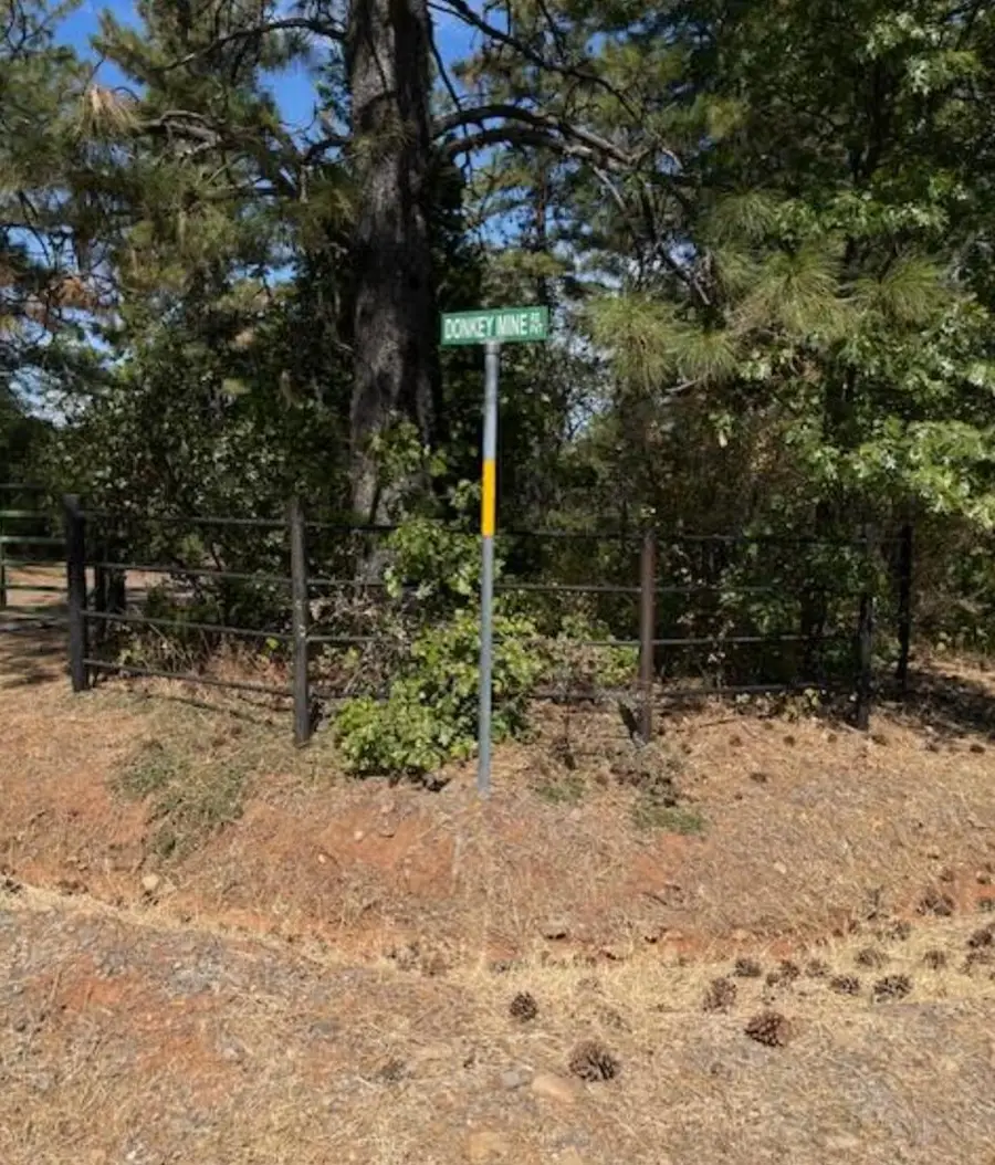 000 Madison Avenue, Oak Run, CA 96069 - Image #3