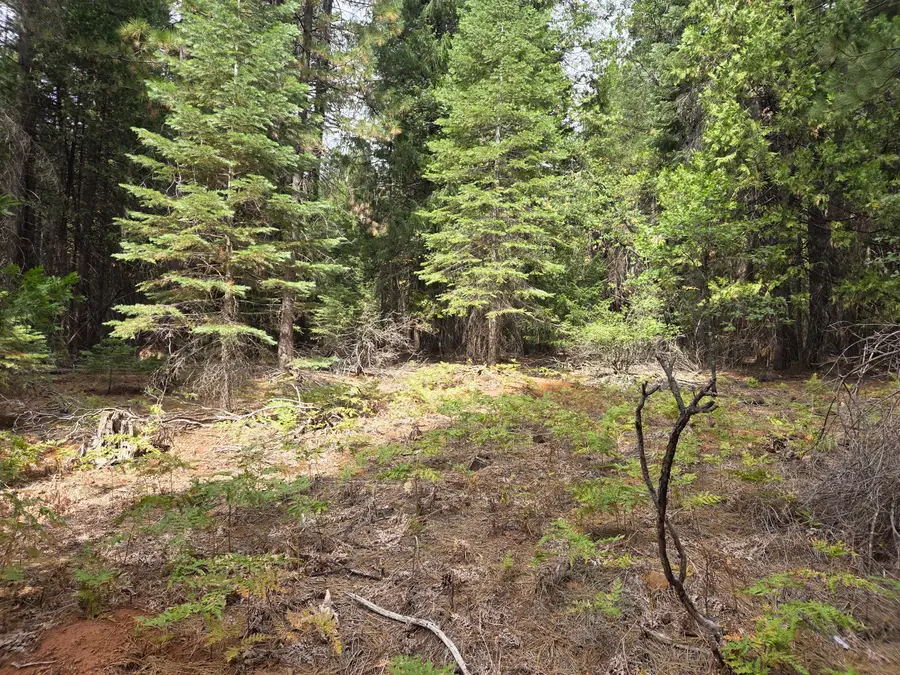 LOT 28&29 Emerald Way, Shingletown, CA 96088 - Image #2