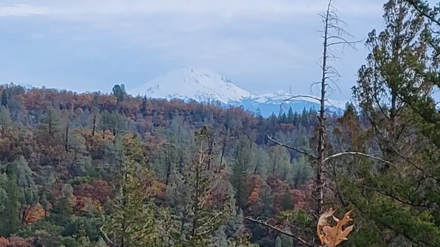 000 Ca-hwy 299, Bella Vista, CA 96008 - Image #3