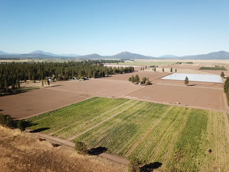 27093 Lee Road, McArthur, CA 96028 - Image #2