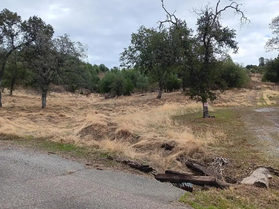 E Elk Trail, Jones Valley, CA 96003 - Image #2