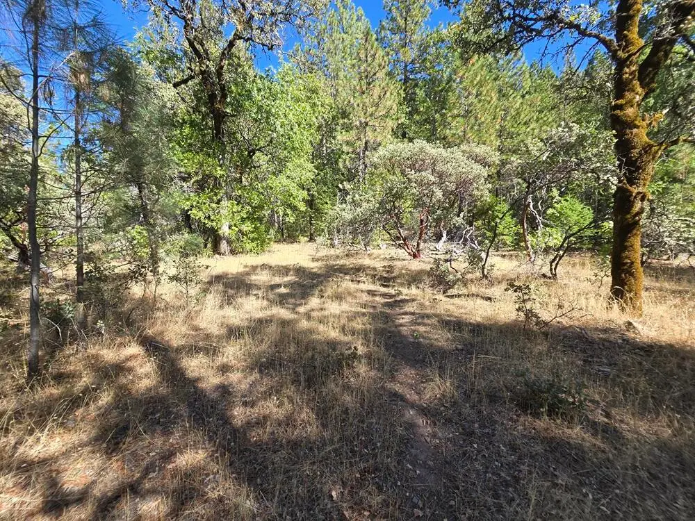Lot 158 Bridger Way, Oak Run, CA 96069 - Image #1