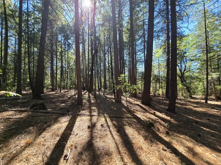 Lot 158 Bridger Way, Oak Run, CA 96069 - Image #3