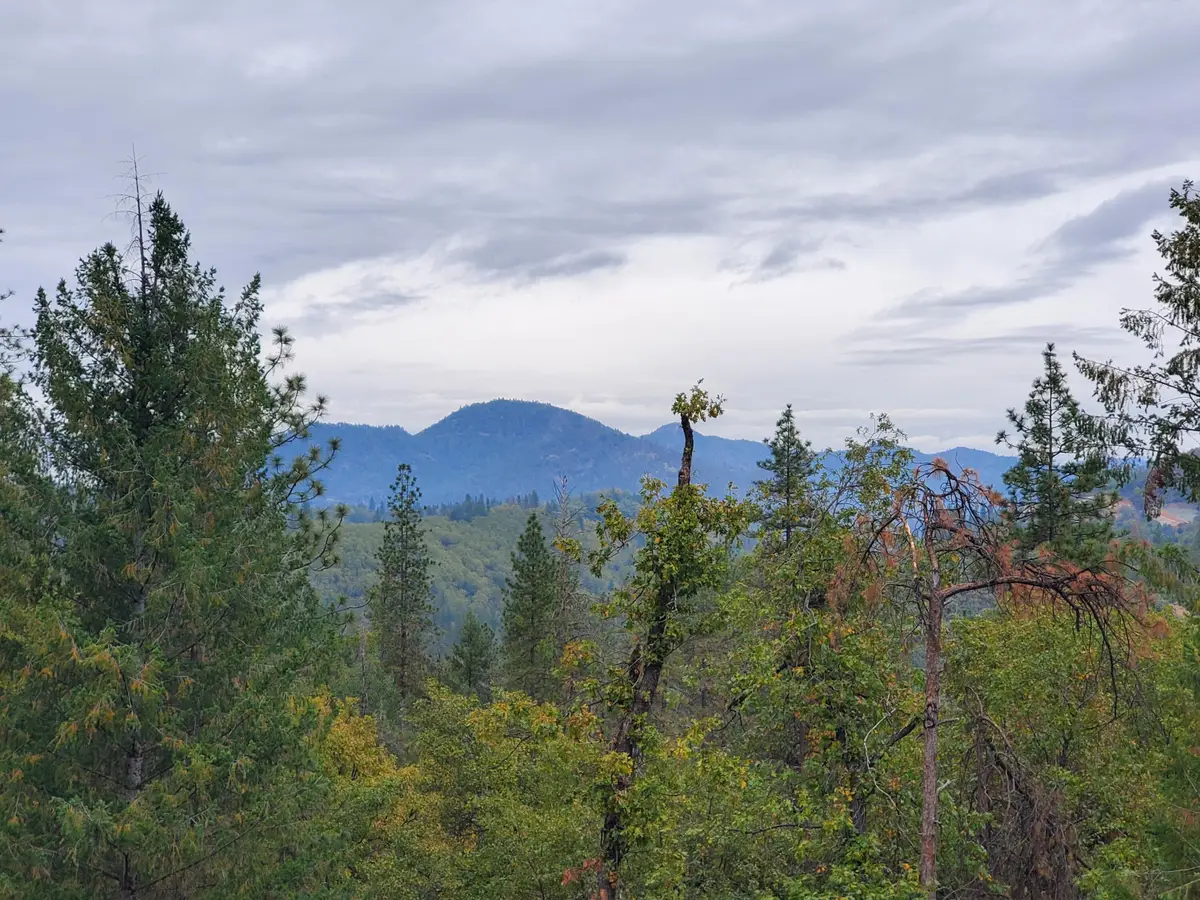 Racoon Dr, Lakehead, CA 96051 - Image #1