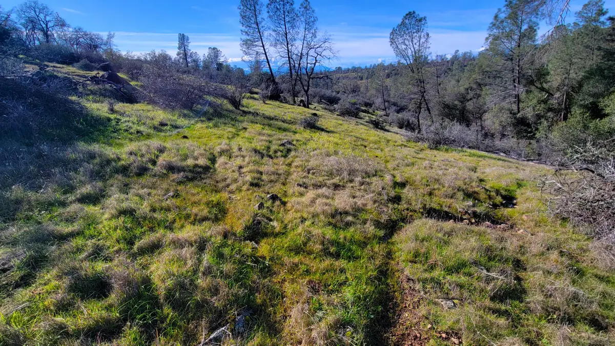 000 Rancheria Creek Road, Shingletown, CA 96088 - #1