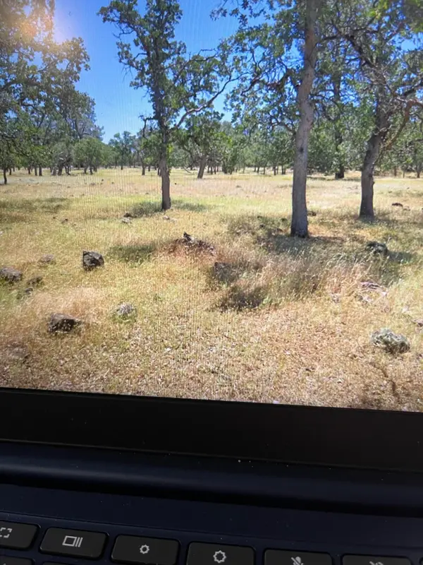 Campo Dios Rd Road, Shingletown, CA 96088