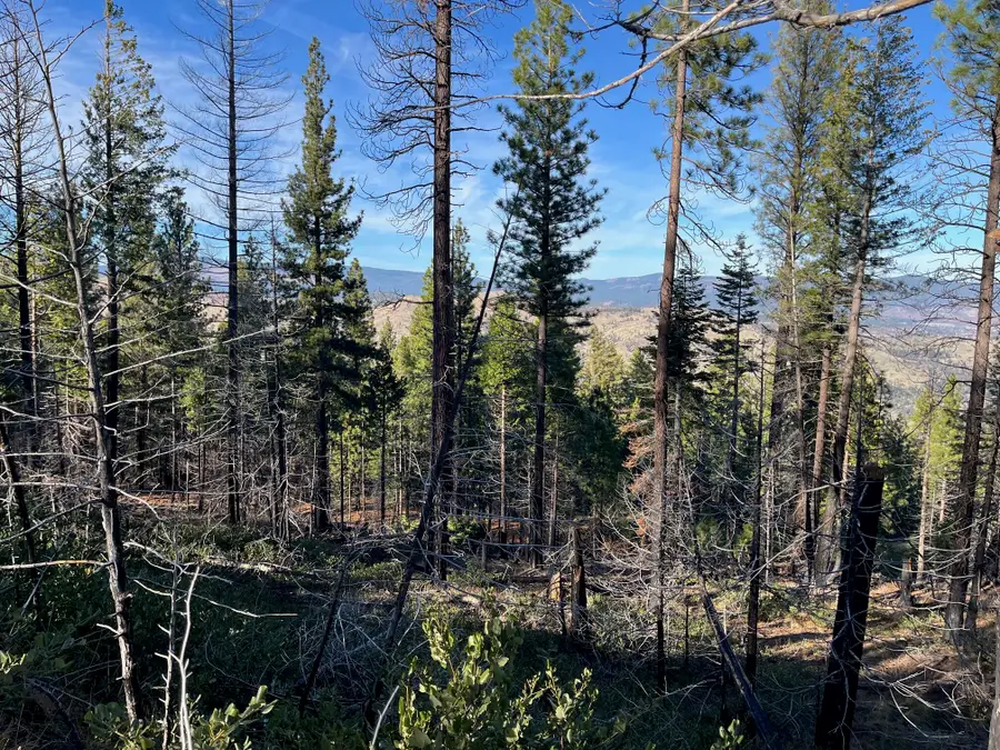 16 Acres, Janesville, CA 96130 - Image #2