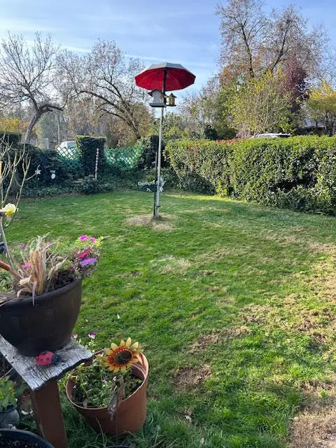 4036 Flower Street, Shasta Lake, CA 96019 - Image #3