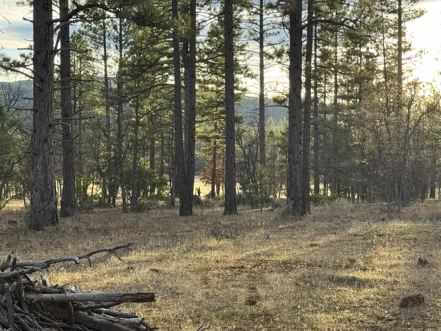 39477 Crane Road, Cassel, CA 96016 - Image #3