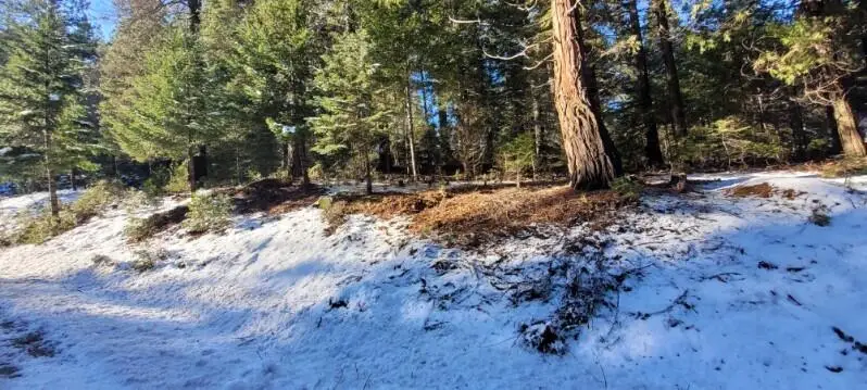 #000 Audubon Road, Mount Shasta, CA 96067 - #3