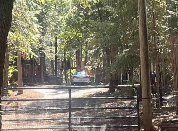 30889 Bambi Drive, Shingletown, CA 96088 - #1