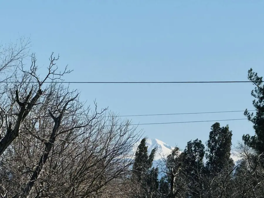 22148 Lone Tree Road, Anderson, CA 96007 - Image #3