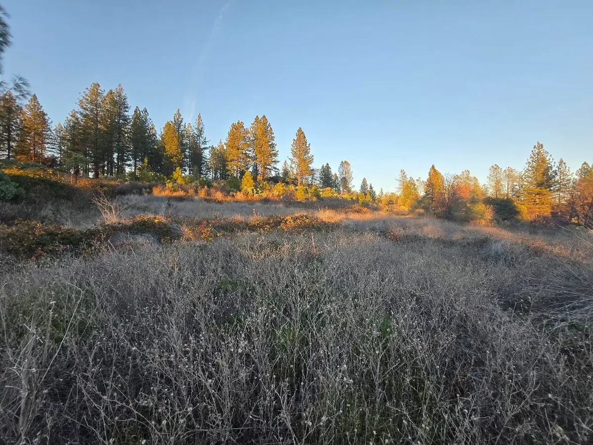 Donkey Mine Road, Oak Run, CA 96069 - Image #1
