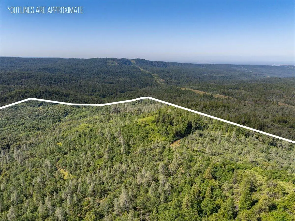 Melton Road, Round Mountain, CA 96084 - Image #1