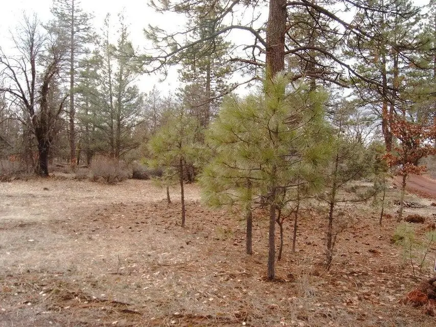 000 Big Lake Road, McArthur, CA 96056 - Image #1