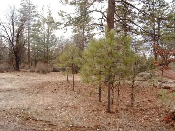 000 Big Lake Road, McArthur, CA 96056