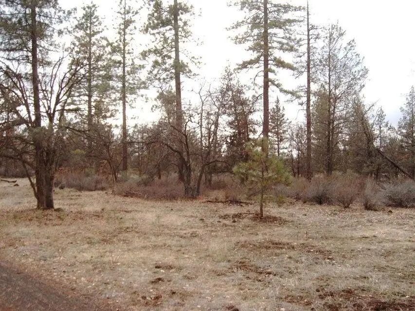 000 Big Lake Road, McArthur, CA 96056 - Image #2