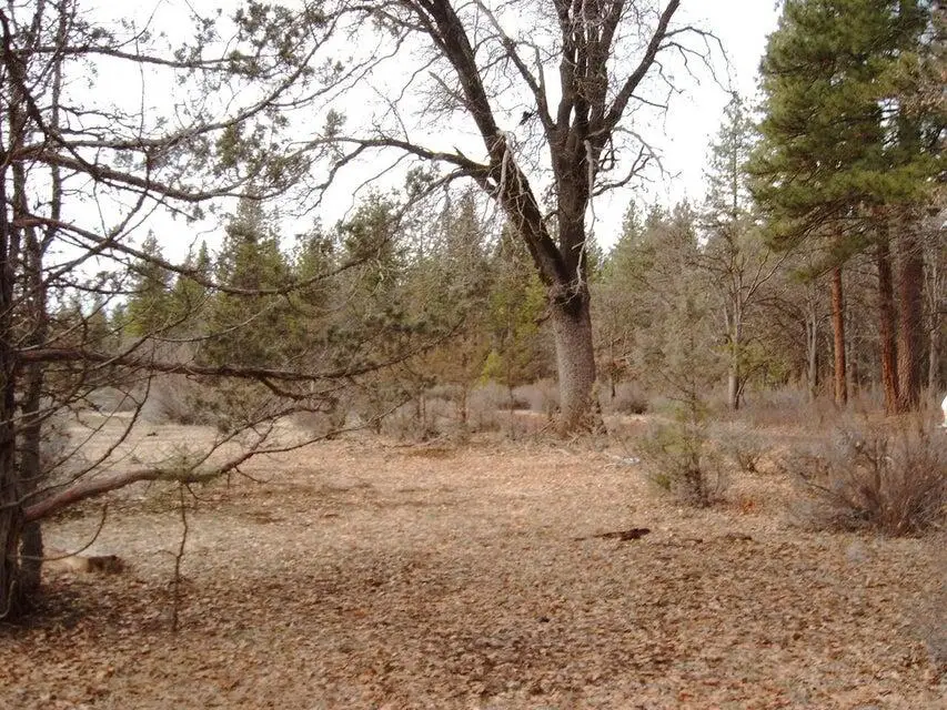 000 Big Lake Road, McArthur, CA 96056 - Image #3