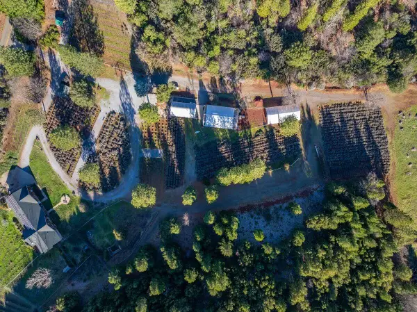 12757 Fern Road, Whitmore, CA 96096