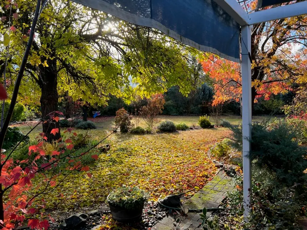 8087 El Pino Drive, Palo Cedro, CA 96073 - #1