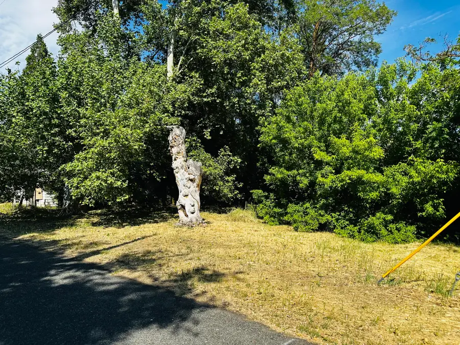 106 N West Street, Yreka, CA 96097 - Image #2