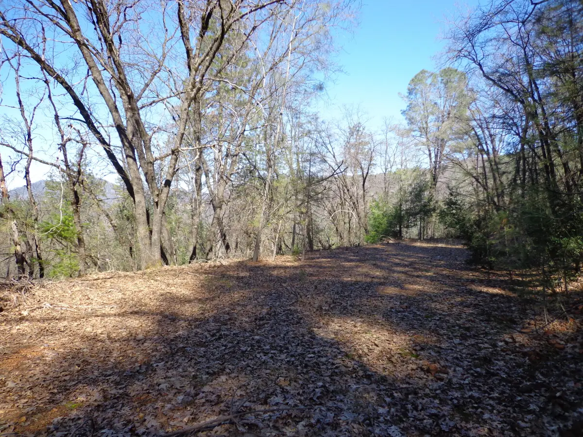 Fawn Road, Lakehead, CA 96051 - Image #1