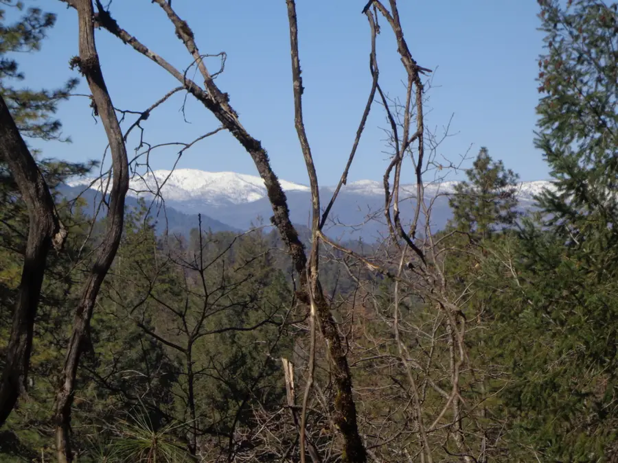 Fawn Road, Lakehead, CA 96051 - Image #2