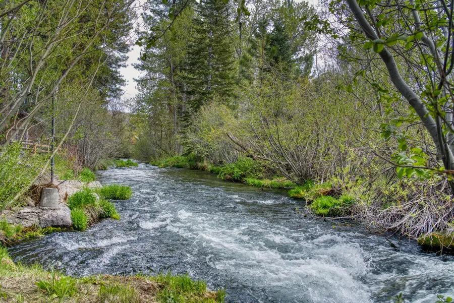 42324 Blue Heron Circle, Old Station, CA 96071 - Image #2