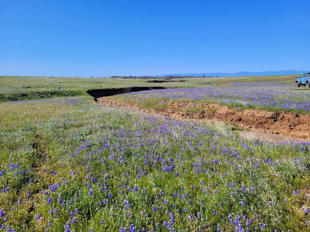 Leopard Dr., Anderson, CA 96007 - #1