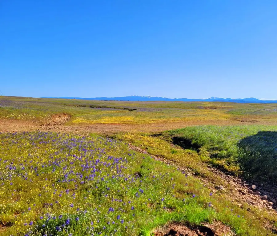 Leopard Dr., Anderson, CA 96007 - #2