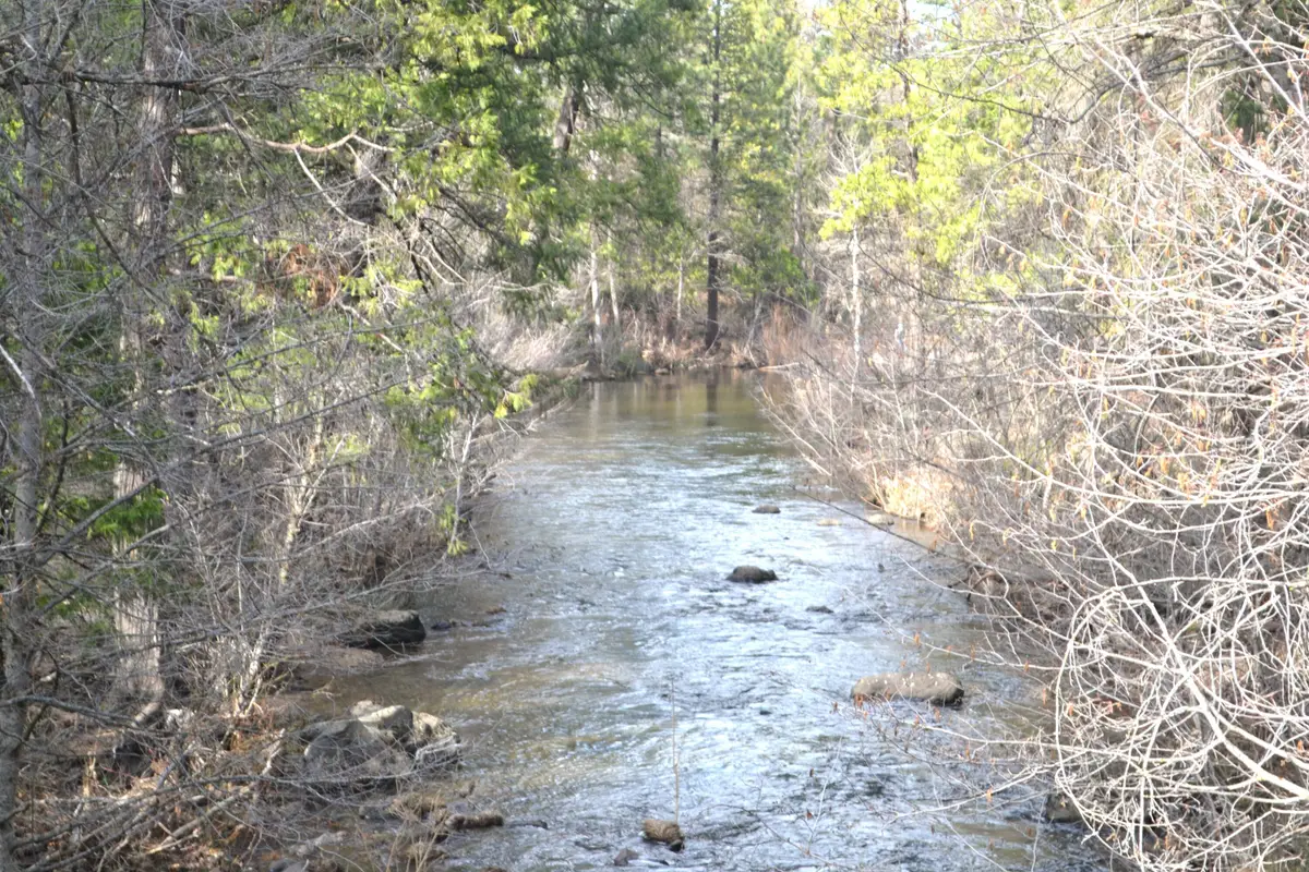 000 Park Avenue, Burney, CA 96013 - #1