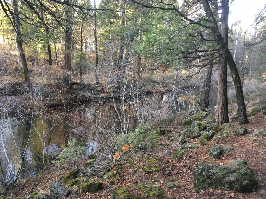 000 Park Avenue, Burney, CA 96013 - #3