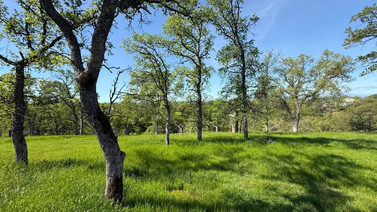 19816 Tedrock Mountain Place, Cottonwood, CA 96022 - #1