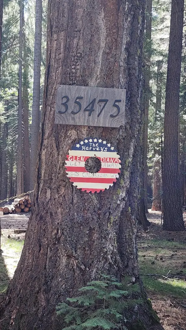 35475 Colossians Way, Shingletown, CA 96088