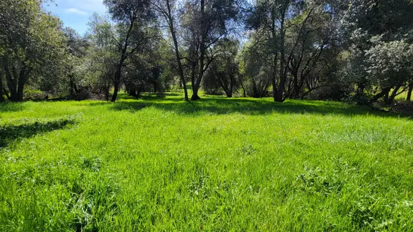 000 Placer Road, Igo, CA 96047