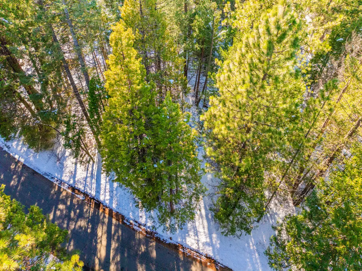 Ritts Mill Road, Shingletown, CA 96088 - #1