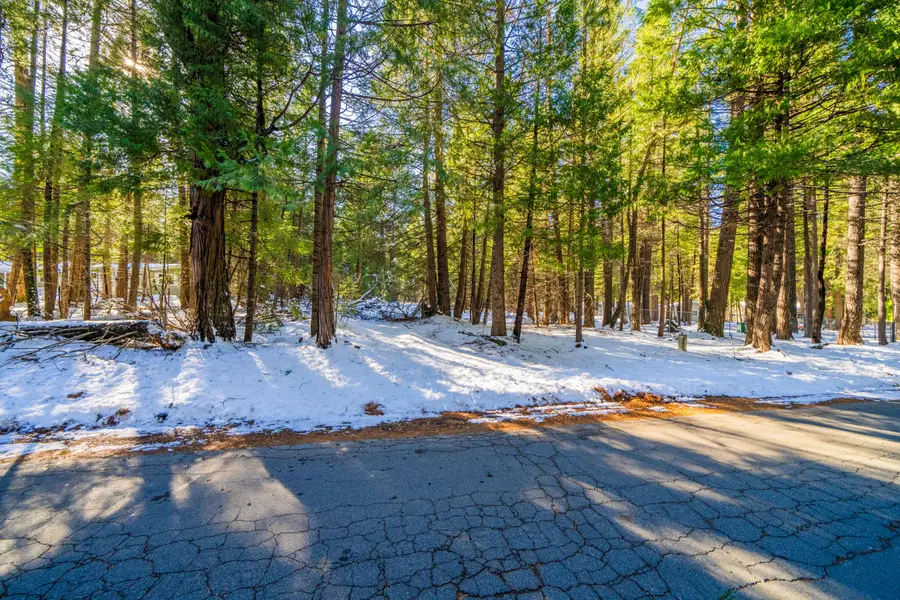 Ritts Mill Road, Shingletown, CA 96088 - #2