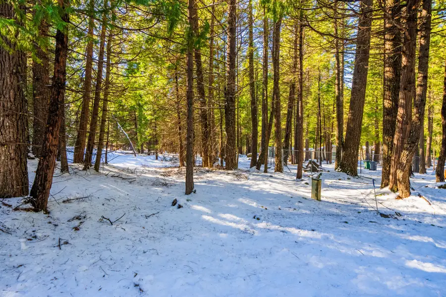 Ritts Mill Road, Shingletown, CA 96088 - #3