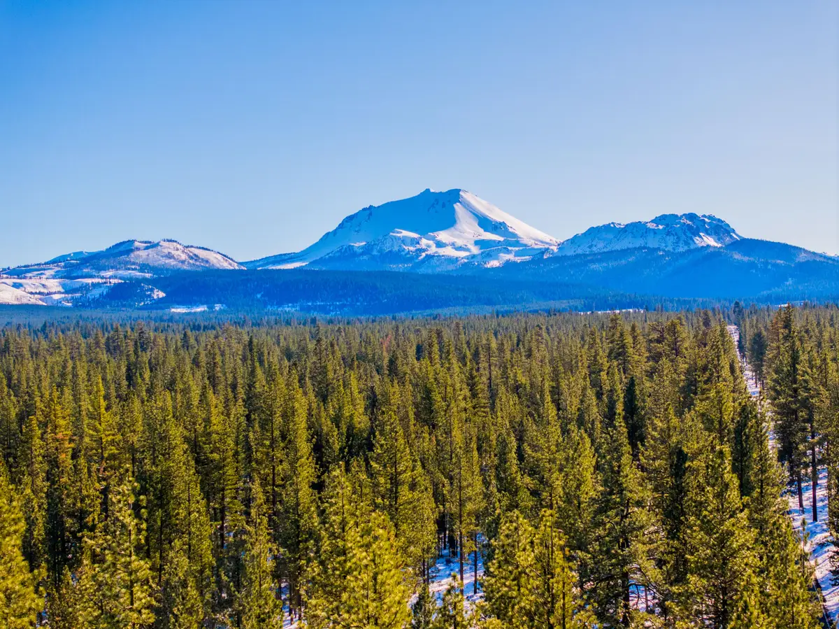 Big Springs Boulevard, Old Station, CA 96071 - #1