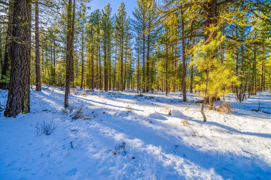 Big Springs Boulevard, Old Station, CA 96071 - #2